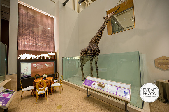 0155__12-8-22_Venture-Global-Holiday-Party-National-Museum-of-Natural-History-Washington-DC-EventPhotojournalism-event-photographers