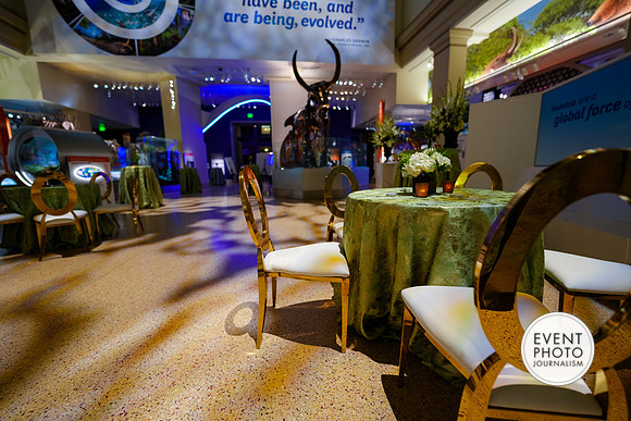 0137__12-8-22_Venture-Global-Holiday-Party-National-Museum-of-Natural-History-Washington-DC-EventPhotojournalism-event-photographers
