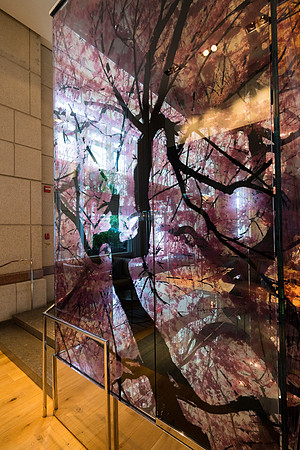 0209__5-13-25_Hyatt-Week-Park-Hyatt-Washington-DC-Event-Photojournalism-photography