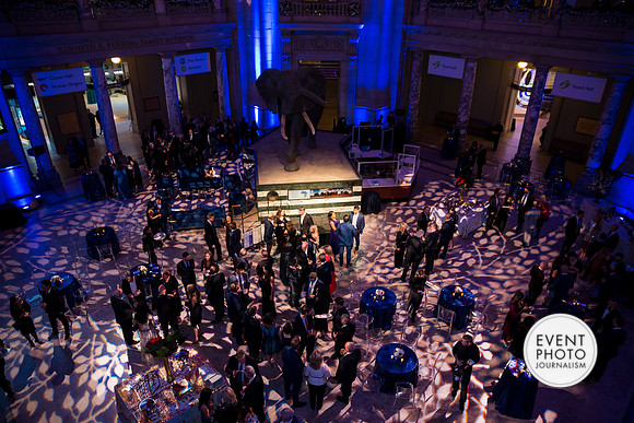 0351__12-8-22_Venture-Global-Holiday-Party-National-Museum-of-Natural-History-Washington-DC-EventPhotojournalism-event-photographers