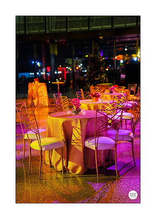 0528__12-9-22__Bain-&-Company-National-Museum-of-African-American-History-DC-Washington-DC-EventPhotojournalism-event-photographers