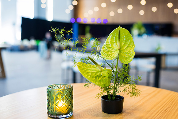 0049_7-24-25_MC&A-Room-Decor-Shoot_Capital-One-Hall-Tysons-Virginia-Event-Photojournalism-photography