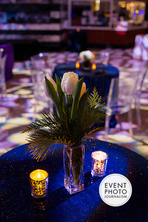0004__12-8-22_Venture-Global-Holiday-Party-National-Museum-of-Natural-History-Washington-DC-EventPhotojournalism-event-photographers