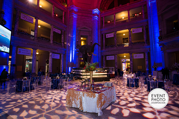 0156__12-8-22_Venture-Global-Holiday-Party-National-Museum-of-Natural-History-Washington-DC-EventPhotojournalism-event-photographers