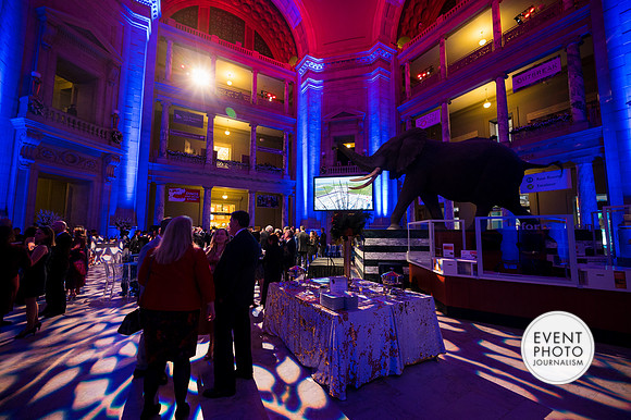 0359__12-8-22_Venture-Global-Holiday-Party-National-Museum-of-Natural-History-Washington-DC-EventPhotojournalism-event-photographers