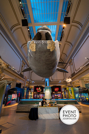 0119__12-8-22_Venture-Global-Holiday-Party-National-Museum-of-Natural-History-Washington-DC-EventPhotojournalism-event-photographers