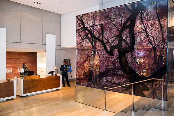 0033__5-13-25_Hyatt-Week-Park-Hyatt-Washington-DC-Event-Photojournalism-photography