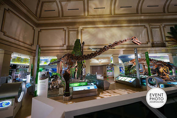 0067__12-8-22_Venture-Global-Holiday-Party-National-Museum-of-Natural-History-Washington-DC-EventPhotojournalism-event-photographers