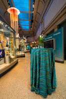 0013__12-8-22_Venture-Global-Holiday-Party-National-Museum-of-Natural-History-Washington-DC-EventPhotojournalism-event-photographers