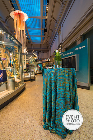 0013__12-8-22_Venture-Global-Holiday-Party-National-Museum-of-Natural-History-Washington-DC-EventPhotojournalism-event-photographers