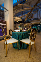 0017__12-8-22_Venture-Global-Holiday-Party-National-Museum-of-Natural-History-Washington-DC-EventPhotojournalism-event-photographers