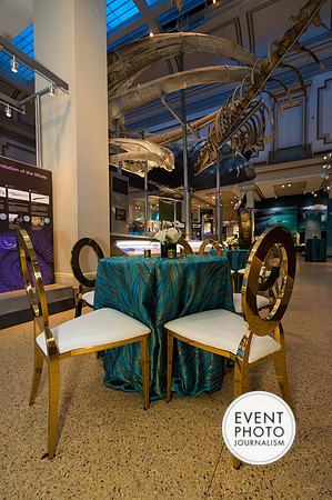 0017__12-8-22_Venture-Global-Holiday-Party-National-Museum-of-Natural-History-Washington-DC-EventPhotojournalism-event-photographers