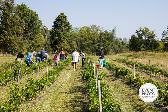 0314__9-14-24-Chartis-Federal-Corporate-Family-Day-JK-Farm-Purceville-Virginia-EventPhotojournalism-event-photographers