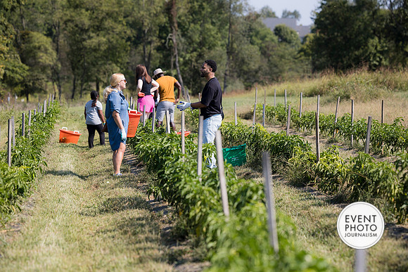 0305__9-14-24-Chartis-Federal-Corporate-Family-Day-JK-Farm-Purceville-Virginia-EventPhotojournalism-event-photographers