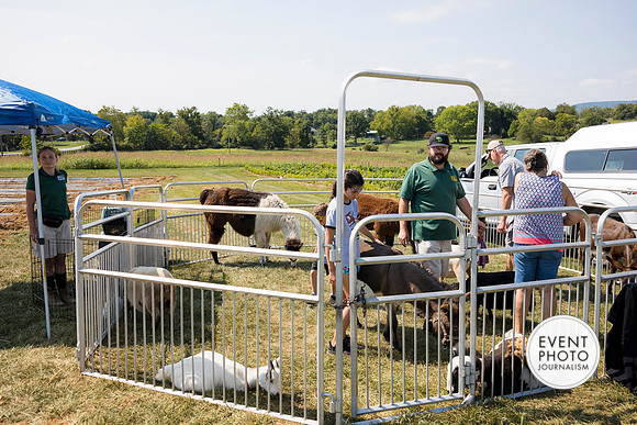 0481__9-14-24-Chartis-Federal-Corporate-Family-Day-JK-Farm-Purceville-Virginia-EventPhotojournalism-event-photographers