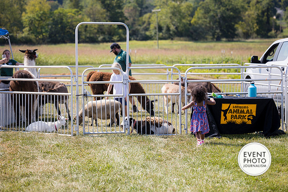 0462__9-14-24-Chartis-Federal-Corporate-Family-Day-JK-Farm-Purceville-Virginia-EventPhotojournalism-event-photographers