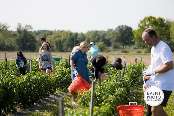 0216__9-14-24-Chartis-Federal-Corporate-Family-Day-JK-Farm-Purceville-Virginia-EventPhotojournalism-event-photographers
