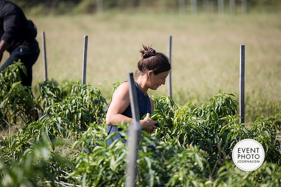 0296__9-14-24-Chartis-Federal-Corporate-Family-Day-JK-Farm-Purceville-Virginia-EventPhotojournalism-event-photographers