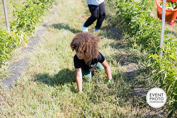 0323__9-14-24-Chartis-Federal-Corporate-Family-Day-JK-Farm-Purceville-Virginia-EventPhotojournalism-event-photographers