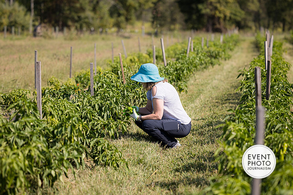 0239__9-14-24-Chartis-Federal-Corporate-Family-Day-JK-Farm-Purceville-Virginia-EventPhotojournalism-event-photographers