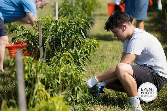 0190__9-14-24-Chartis-Federal-Corporate-Family-Day-JK-Farm-Purceville-Virginia-EventPhotojournalism-event-photographers