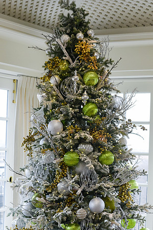 Northern-Virginia-Holiday-Party-Photographers-EventPhotojournalism-photography-0266