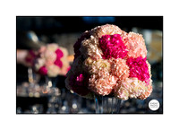 0017_10-11-22_NOBLIS-Retirement_Party-Udvar-Hazy-Center-EventPhotojournalism-event-photographers-Virginia