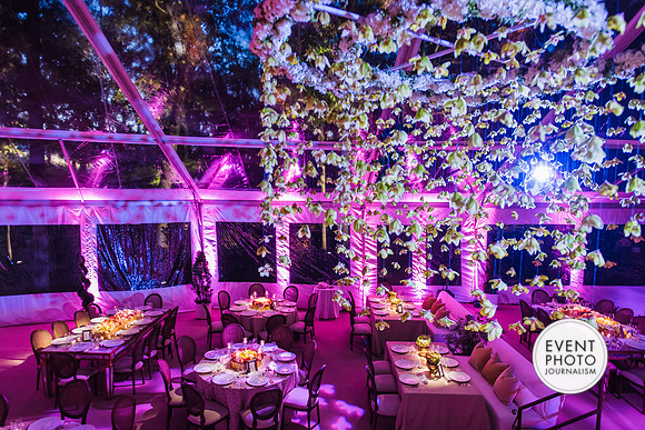 Event Photographers Washington DC, Virginia, Maryland