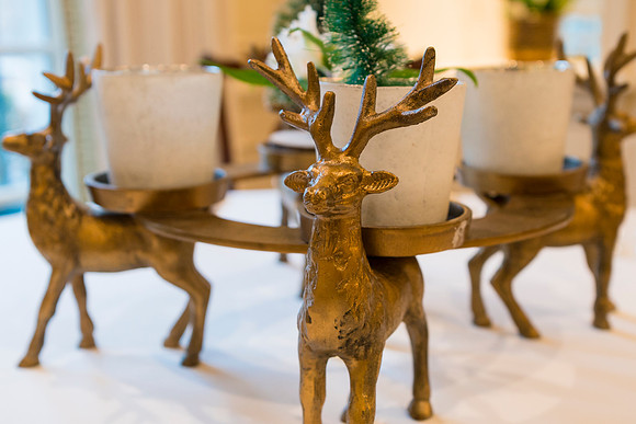013__12-18-24_The-Hay-Adams-Hotel-Washington-DC-Photographers-EventPhotojournalism-photography