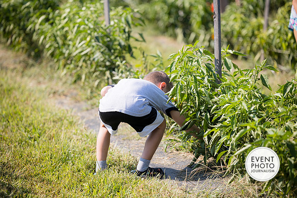 0286__9-14-24-Chartis-Federal-Corporate-Family-Day-JK-Farm-Purceville-Virginia-EventPhotojournalism-event-photographers