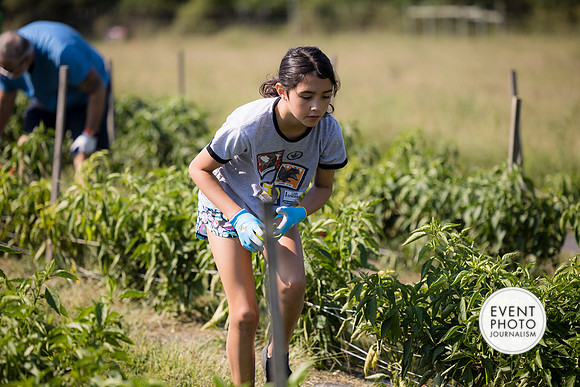 0288__9-14-24-Chartis-Federal-Corporate-Family-Day-JK-Farm-Purceville-Virginia-EventPhotojournalism-event-photographers