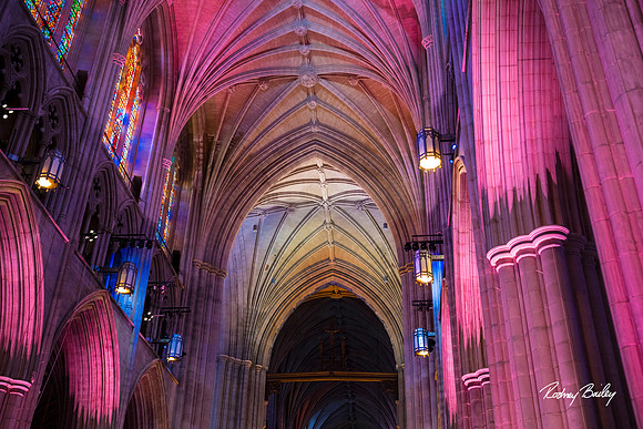 0023_DECOR__6-13-2024_No-Kid-Hungry-DC-Donor-Dinner-national-Cathedral-Washington-DC-Rodney-Bailey-Photography-event-photographers