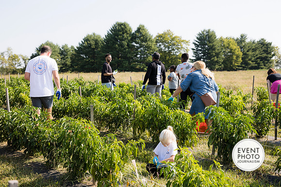 0210__9-14-24-Chartis-Federal-Corporate-Family-Day-JK-Farm-Purceville-Virginia-EventPhotojournalism-event-photographers
