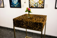 0013__6-5-25_AAAS-2025-Mani-L-Bhaumik-Breakthough-Award-Washington-DC-Event-Photojournalism-photography