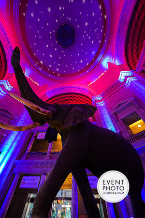0141__12-8-22_Venture-Global-Holiday-Party-National-Museum-of-Natural-History-Washington-DC-EventPhotojournalism-event-photographers