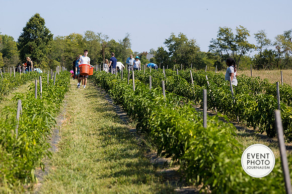 0332__9-14-24-Chartis-Federal-Corporate-Family-Day-JK-Farm-Purceville-Virginia-EventPhotojournalism-event-photographers