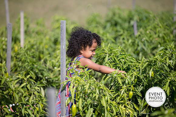 0370__9-14-24-Chartis-Federal-Corporate-Family-Day-JK-Farm-Purceville-Virginia-EventPhotojournalism-event-photographers