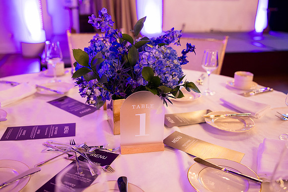 0018__3-5-25_Iron-Mountain-Data-Centers-Award-Dinner-St-Regis-Hotel-DC-Event-Photojournalism-photographers