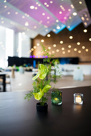 0047_7-24-25_MC&A-Room-Decor-Shoot_Capital-One-Hall-Tysons-Virginia-Event-Photojournalism-photography