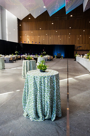 0327_7-24-25_MC&A-Room-Decor-Shoot_Capital-One-Hall-Tysons-Virginia-Event-Photojournalism-photography