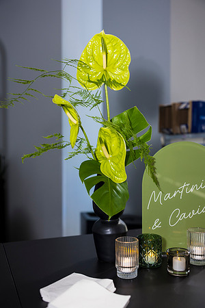 0450_7-24-25_MC&A-Room-Decor-Shoot_Capital-One-Hall-Tysons-Virginia-Event-Photojournalism-photography