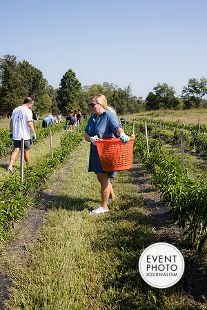 0311__9-14-24-Chartis-Federal-Corporate-Family-Day-JK-Farm-Purceville-Virginia-EventPhotojournalism-event-photographers