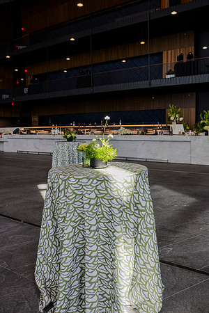 0257_7-24-25_MC&A-Room-Decor-Shoot_Capital-One-Hall-Tysons-Virginia-Event-Photojournalism-photography
