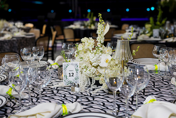 0460_7-24-25_MC&A-Room-Decor-Shoot_Capital-One-Hall-Tysons-Virginia-Event-Photojournalism-photography