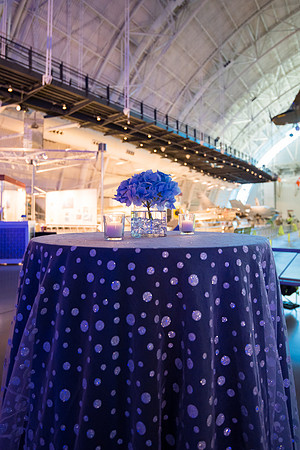Steven-F-Udvar-Hazy-Center-National-Air-Space-Museum-Virginia-event-photographers-EventPhotojournalism__0015