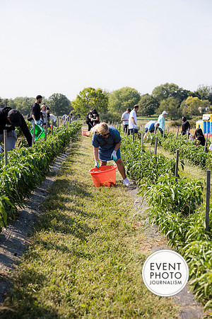 0253__9-14-24-Chartis-Federal-Corporate-Family-Day-JK-Farm-Purceville-Virginia-EventPhotojournalism-event-photographers