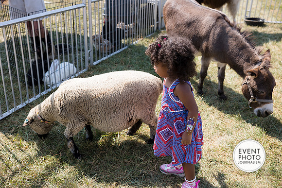0477__9-14-24-Chartis-Federal-Corporate-Family-Day-JK-Farm-Purceville-Virginia-EventPhotojournalism-event-photographers