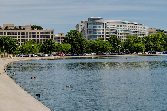 DSC_1358