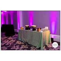 Decatur-House-Washington-DC-event-photography_Event-Photojournalism_0186