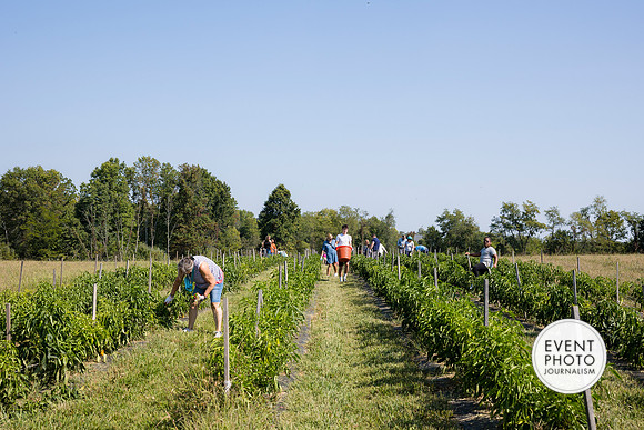 0334__9-14-24-Chartis-Federal-Corporate-Family-Day-JK-Farm-Purceville-Virginia-EventPhotojournalism-event-photographers
